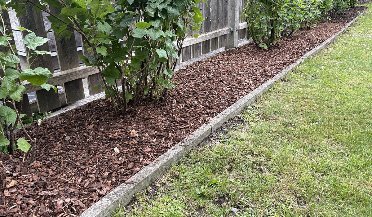 Gepflegte Außenanlagen durch regelmäßige Gartenpflege